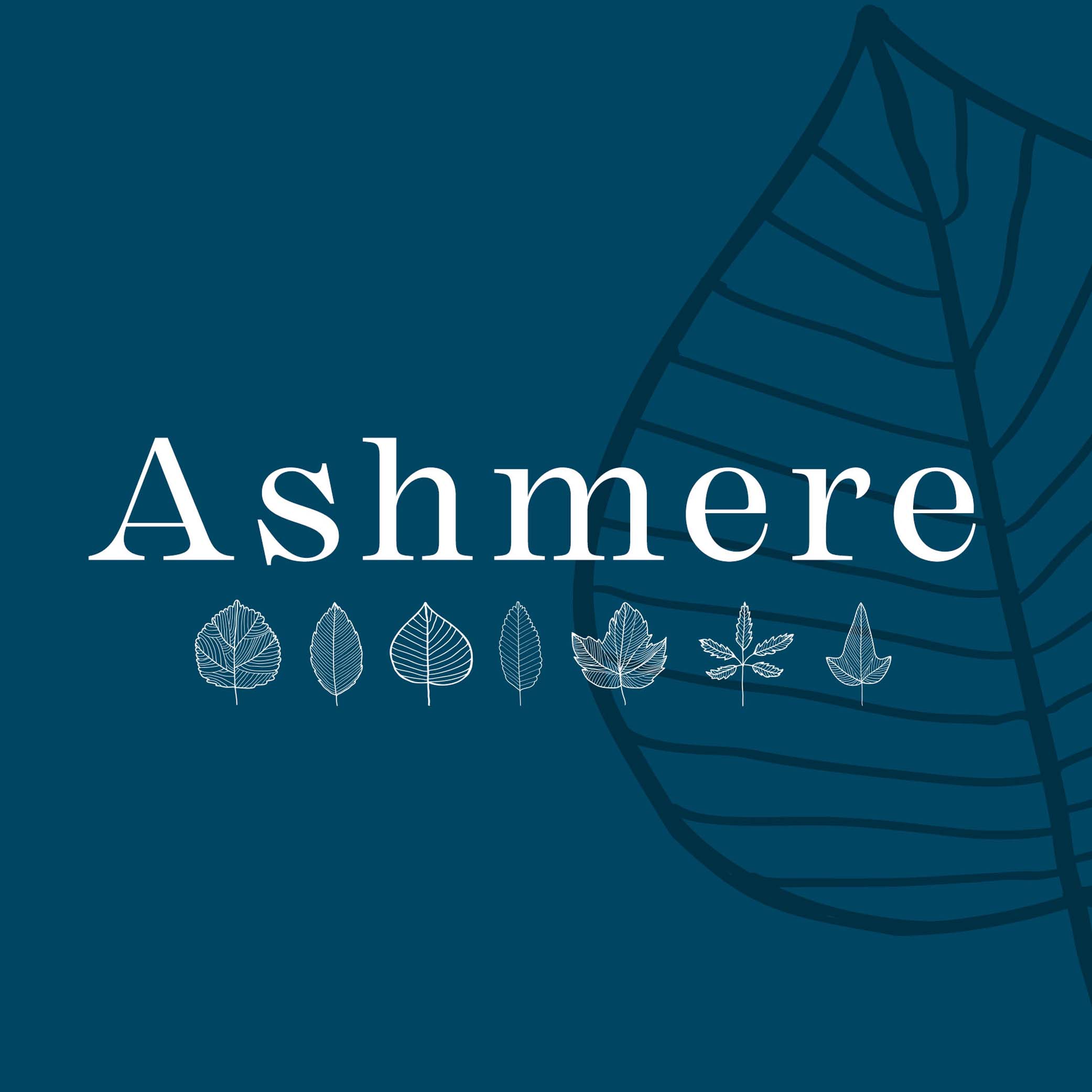 Brand Consultancy: Ashmere Brand Identity