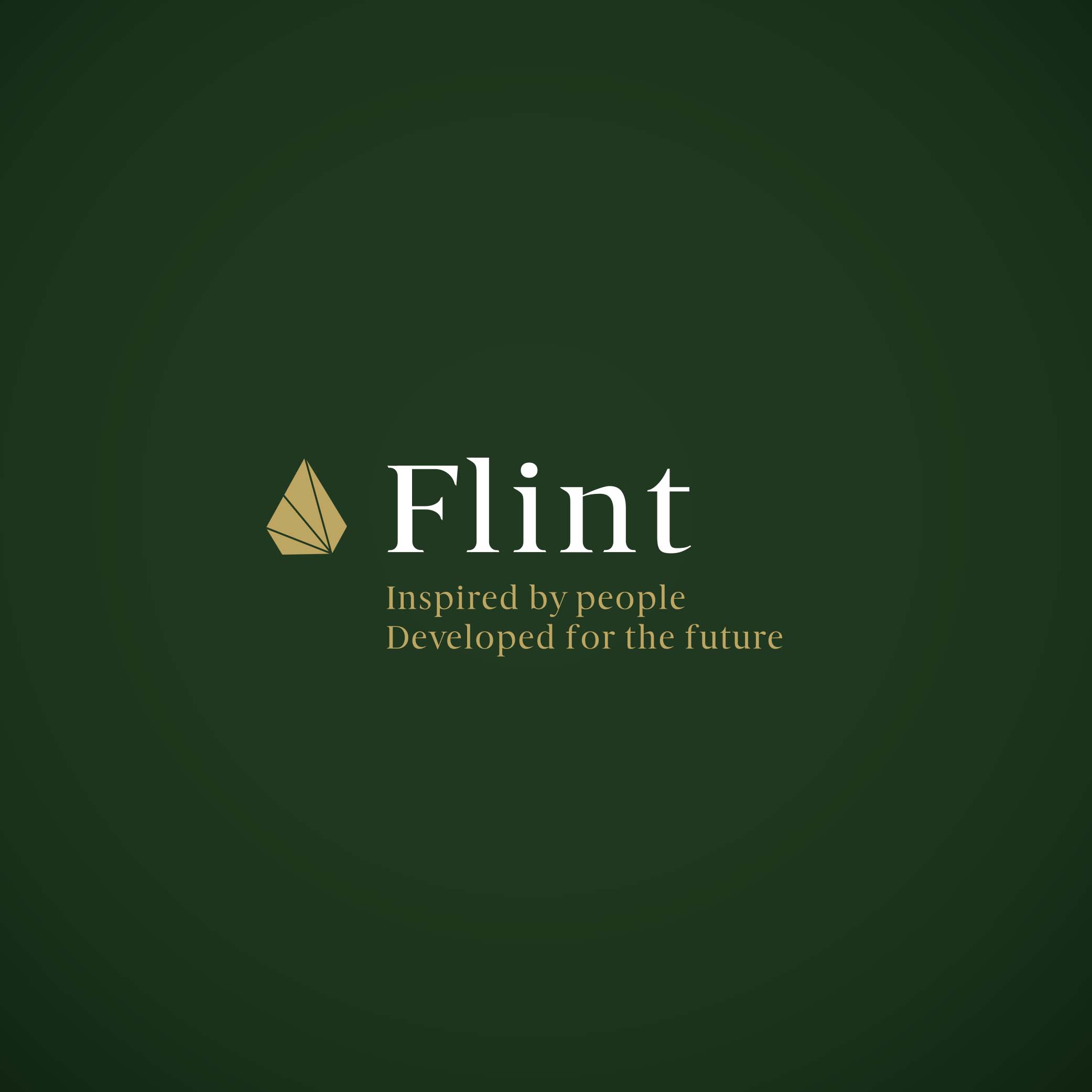 Branding Workshop: Flint Brand Strategy Visual